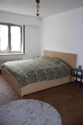 2BR 1LR Apt Only 15 Mins to Gravensteen Castle
